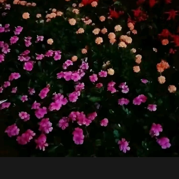 用户4944172110366