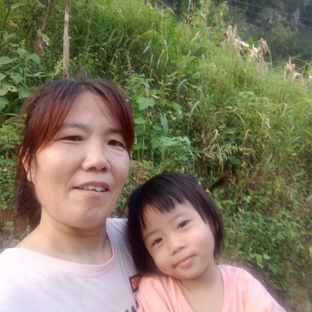 河南人在湖南