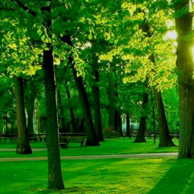 开心❤️全家吉祥如意