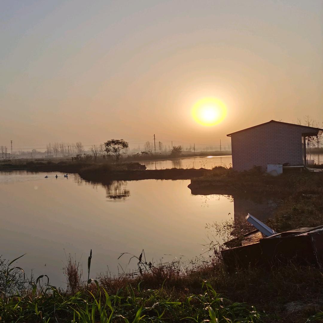 霍邱周集镇刘绍俊电动车大卖场