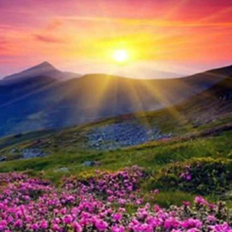 风生水起1503718483