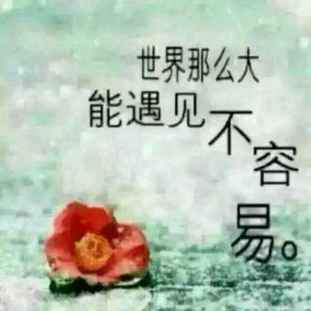 ：涛哥