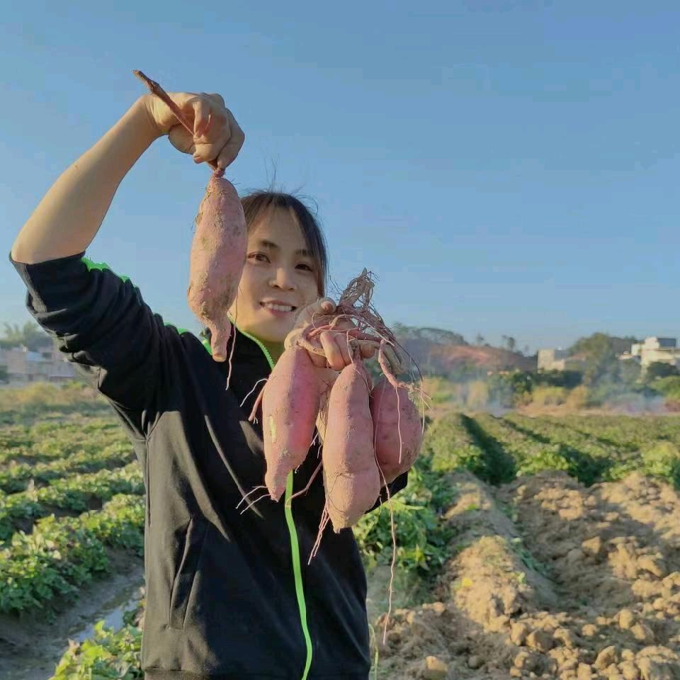 颜宝宝农特产店
