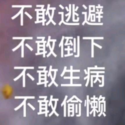 风雨人生挖机姐