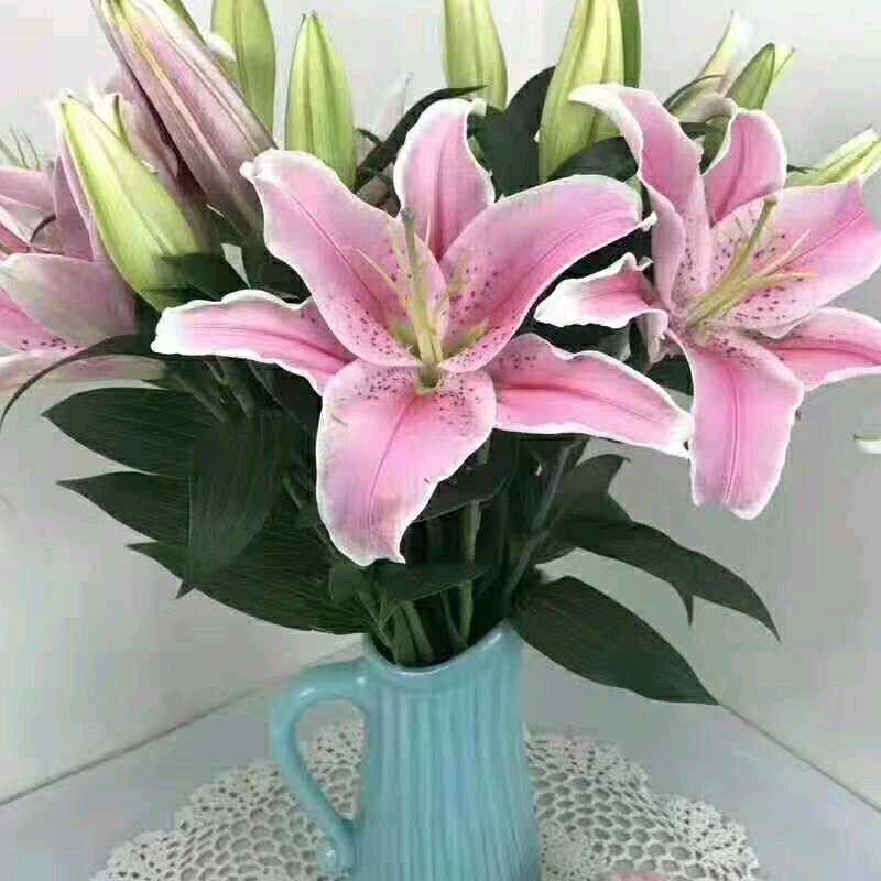 开开❤❤