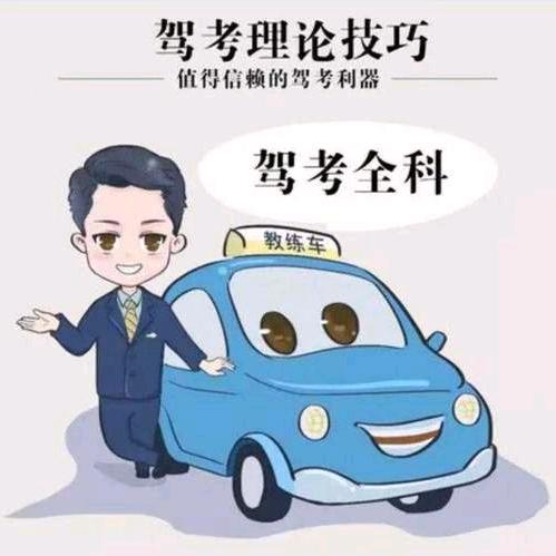 Bilgu  驾考