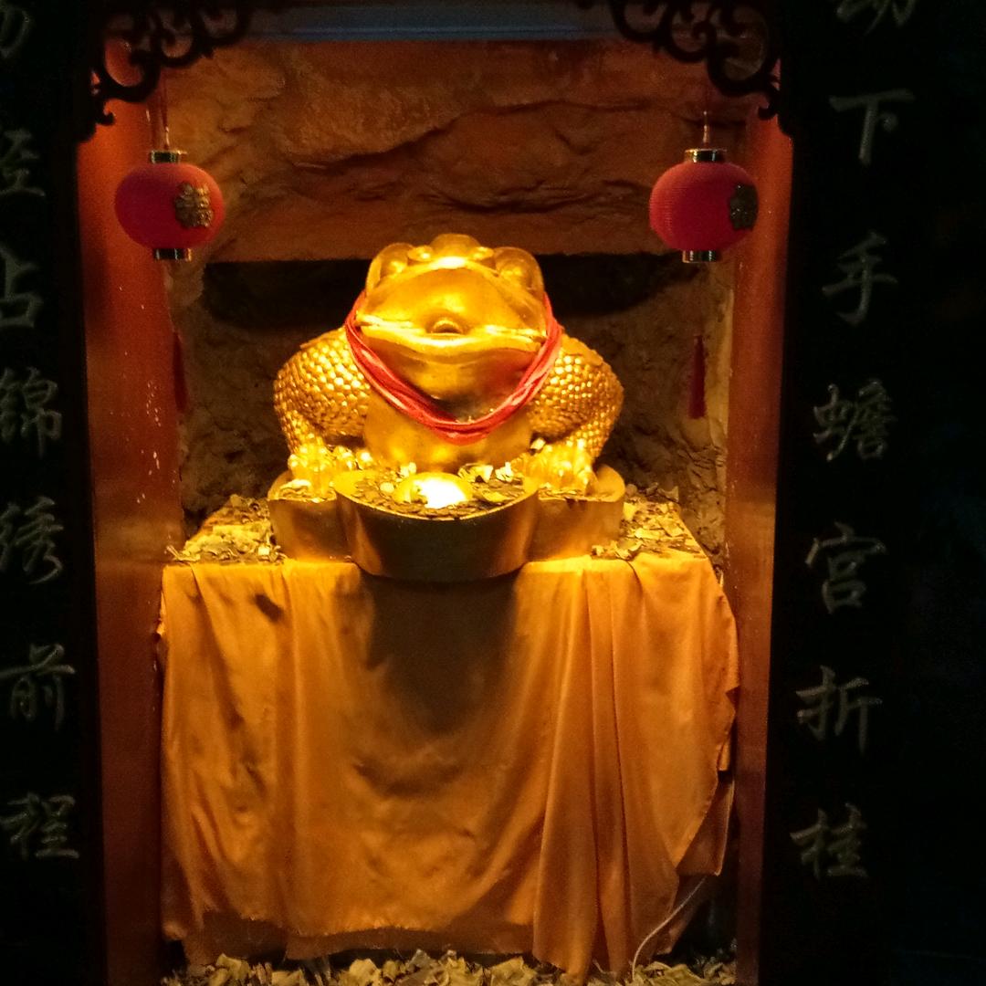  铿锵玫瑰