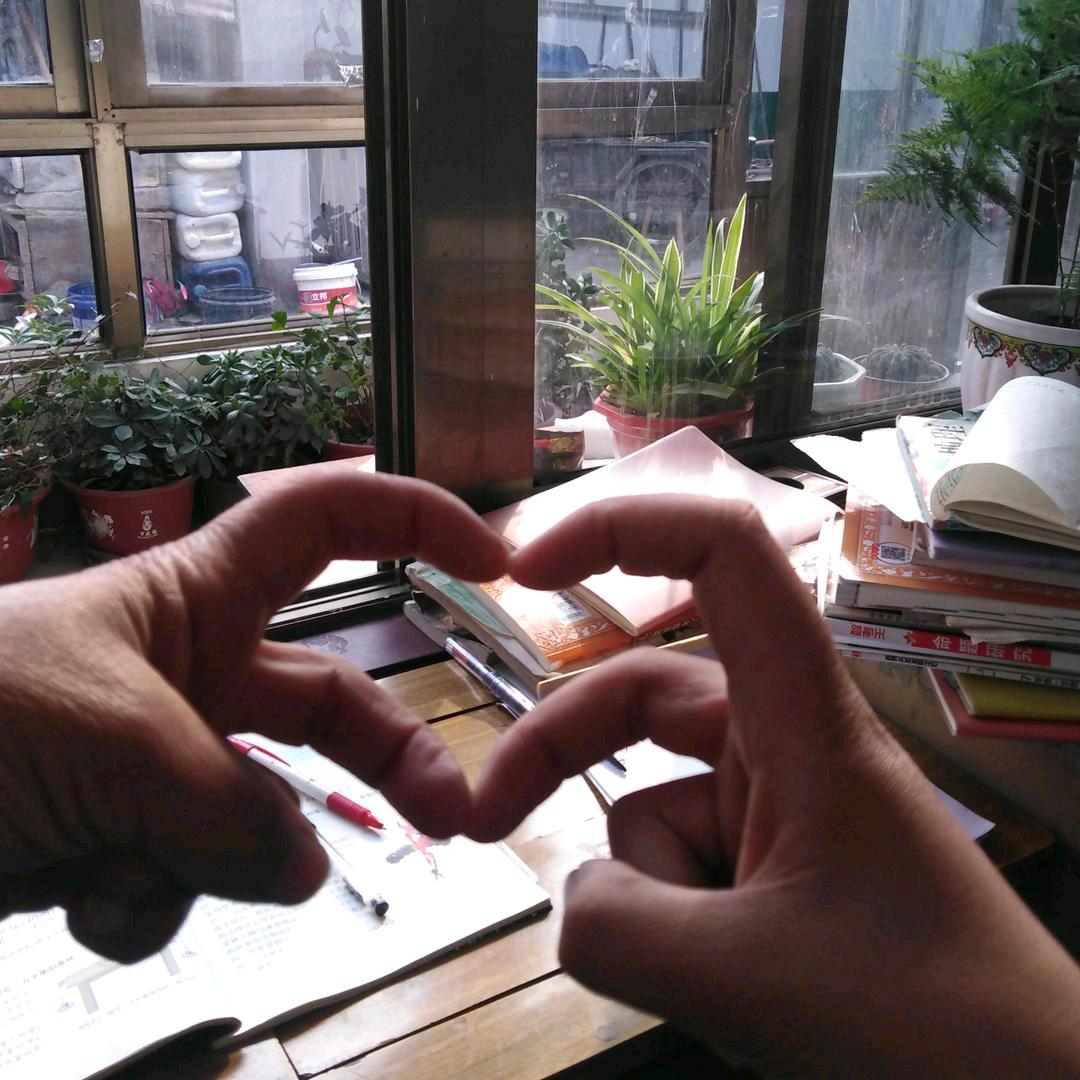 走：绿璟园林绿化劳务，栽小苗，大树