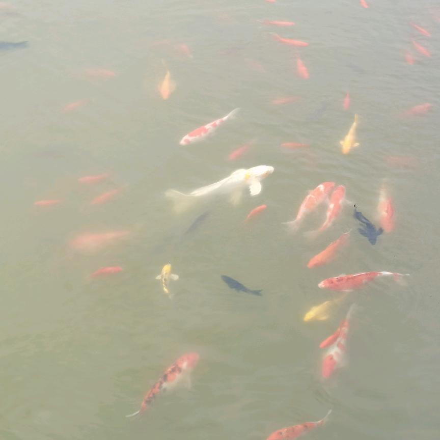 六月(ღ˘⌣˘ღ)