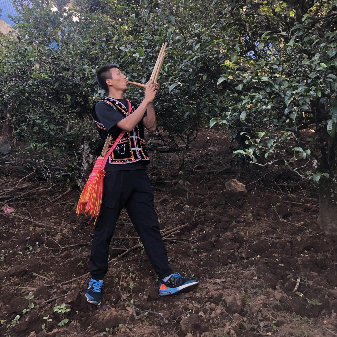 双江 勐库 秀剑号茶业农民专业合作社