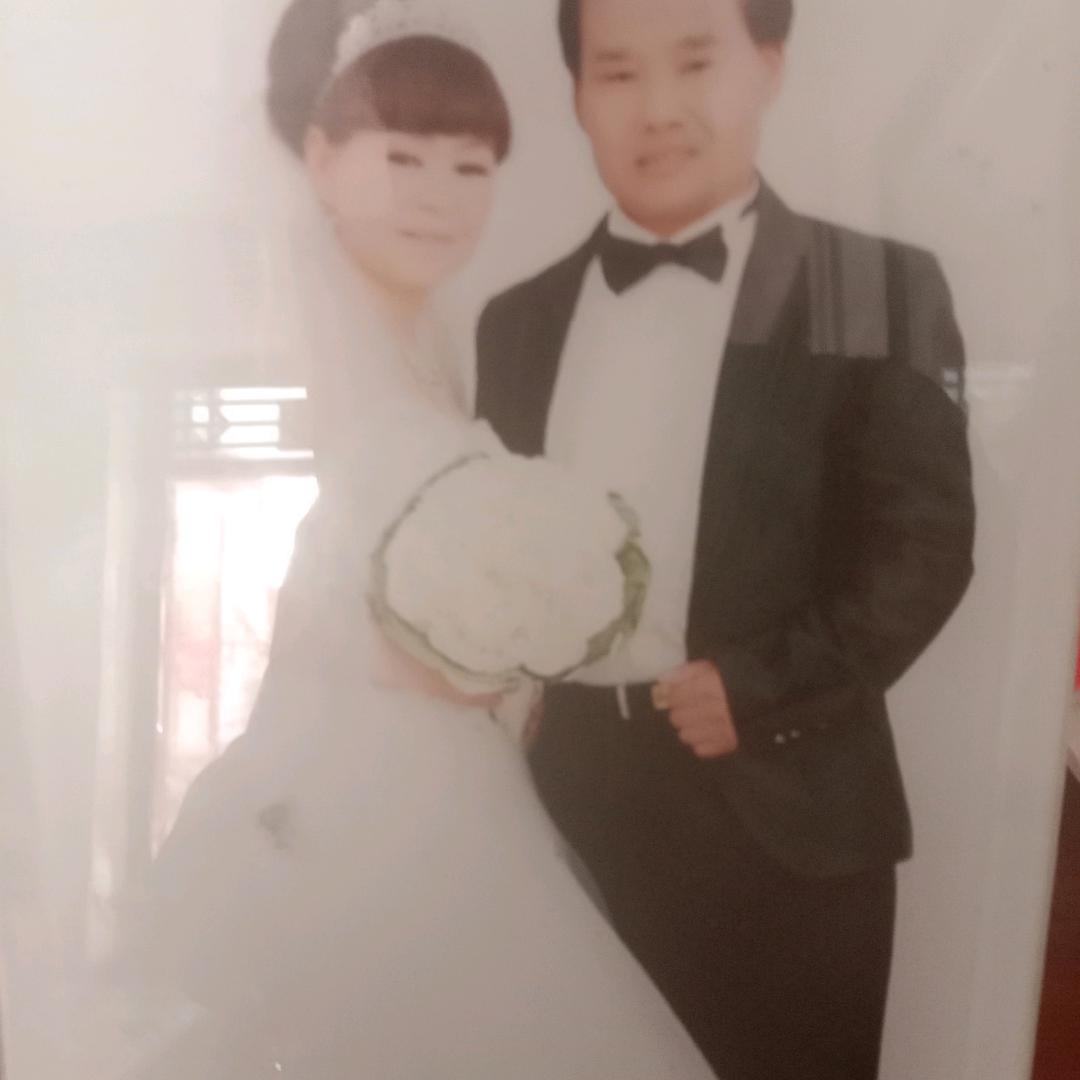 毛