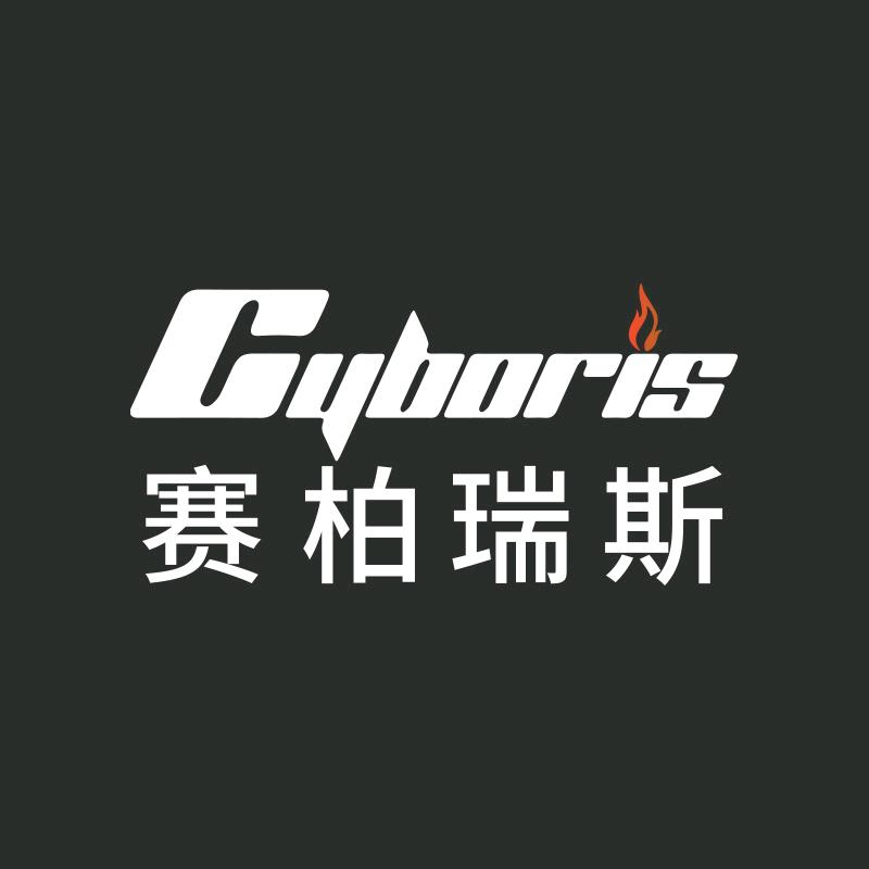 赛柏瑞斯影音旗舰店