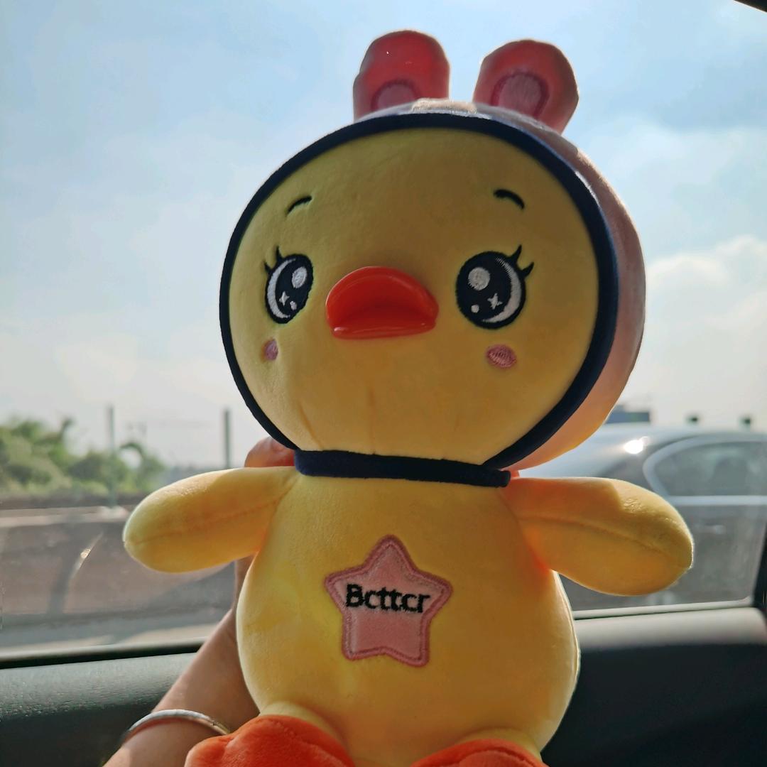 青青园中葵(家有小学生)