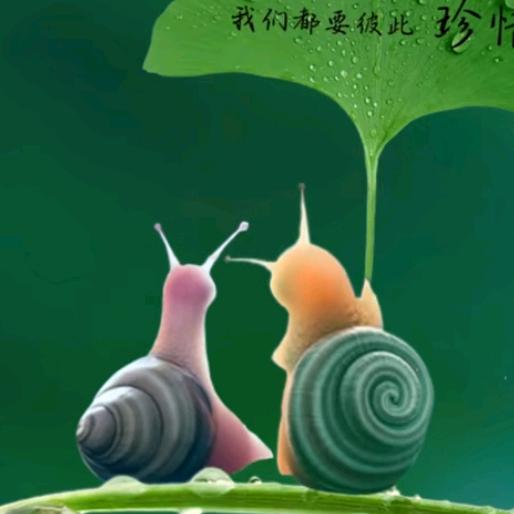 飞扬的沙