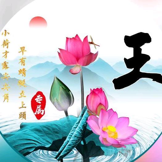 @花好月圆