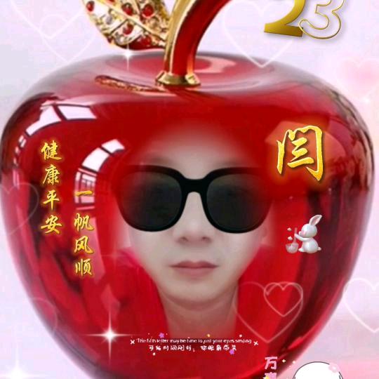 会飞的鱼5233