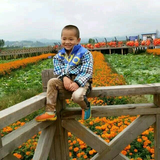 用户好运来13887467749
