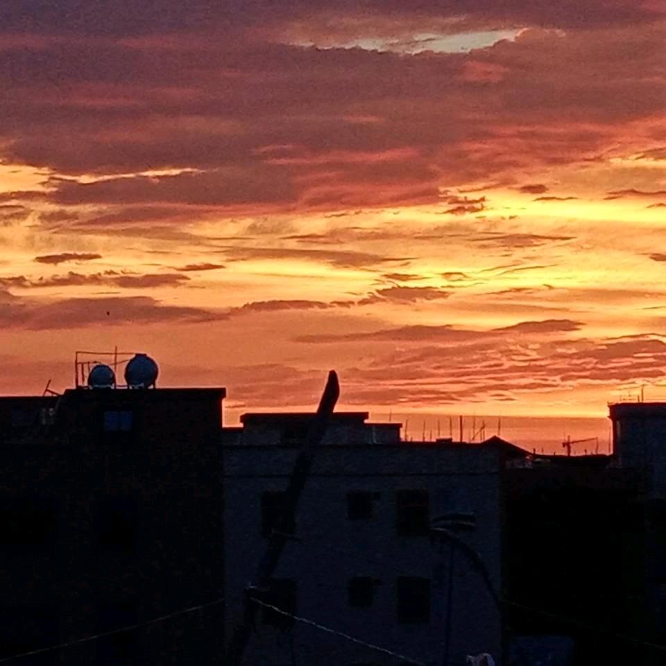 郑坚鑫