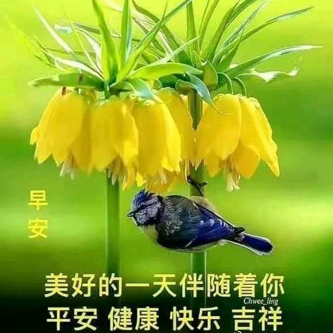 诊锋相对