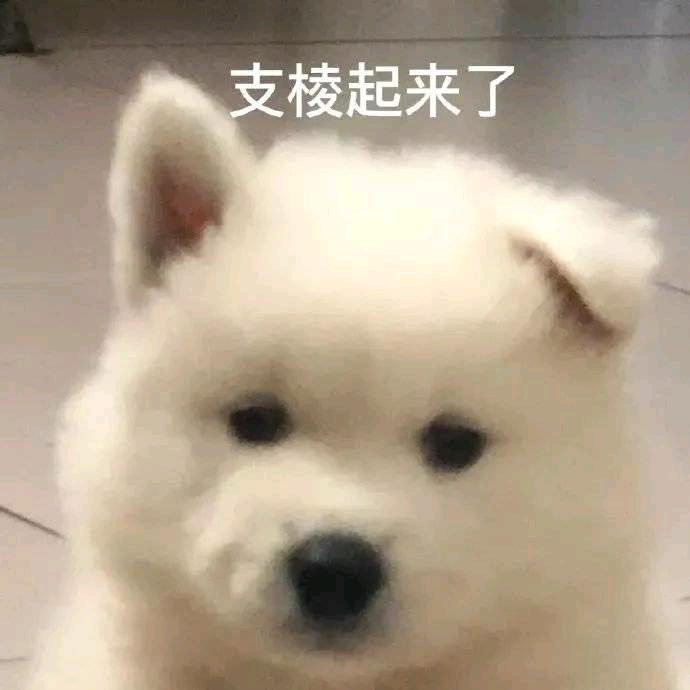 青衫甄选