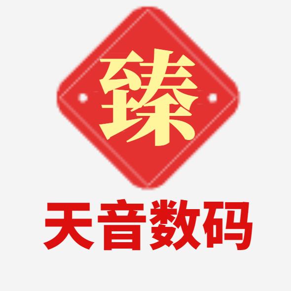 臻天音数码企业店