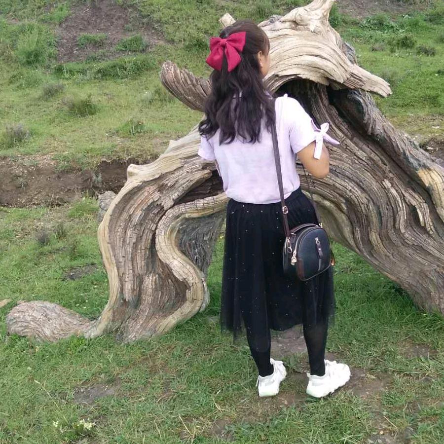 王事随风(｡･ω･｡)ﾉ♡