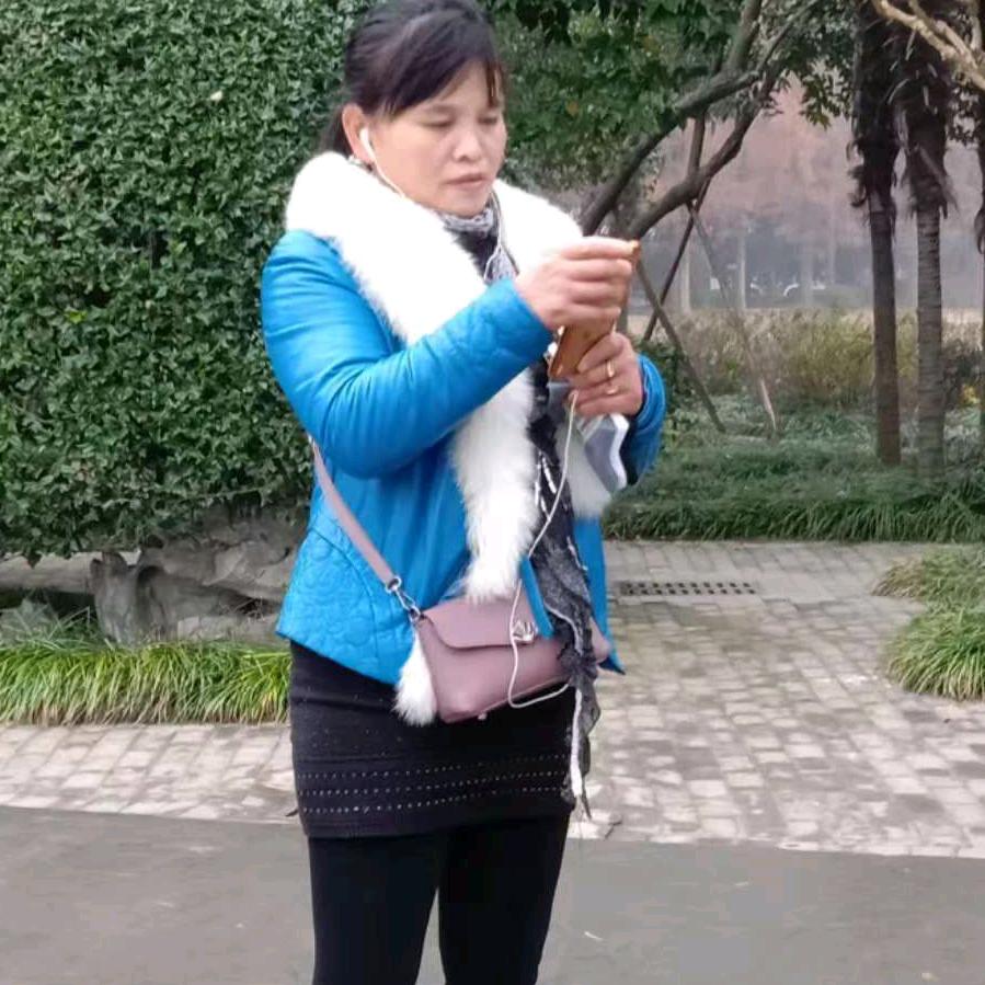 荷花飘香