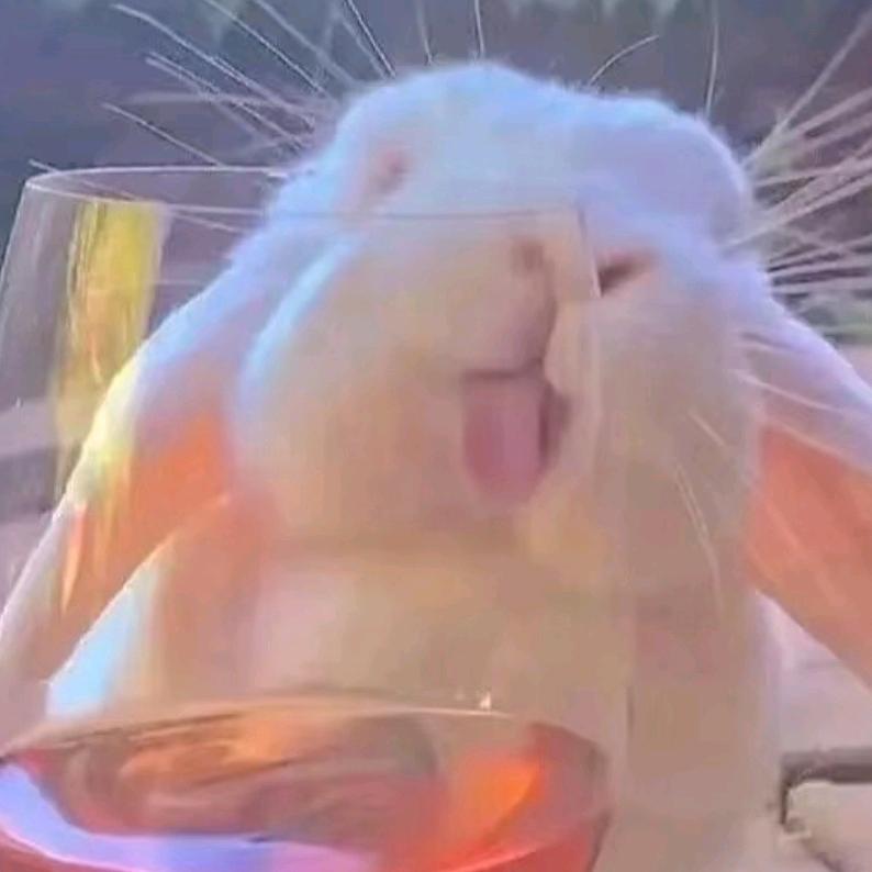 潇儿（休息中）