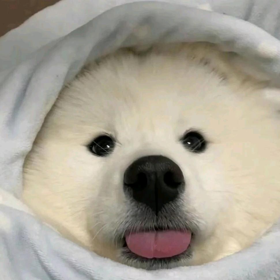 蓝硕数码优选