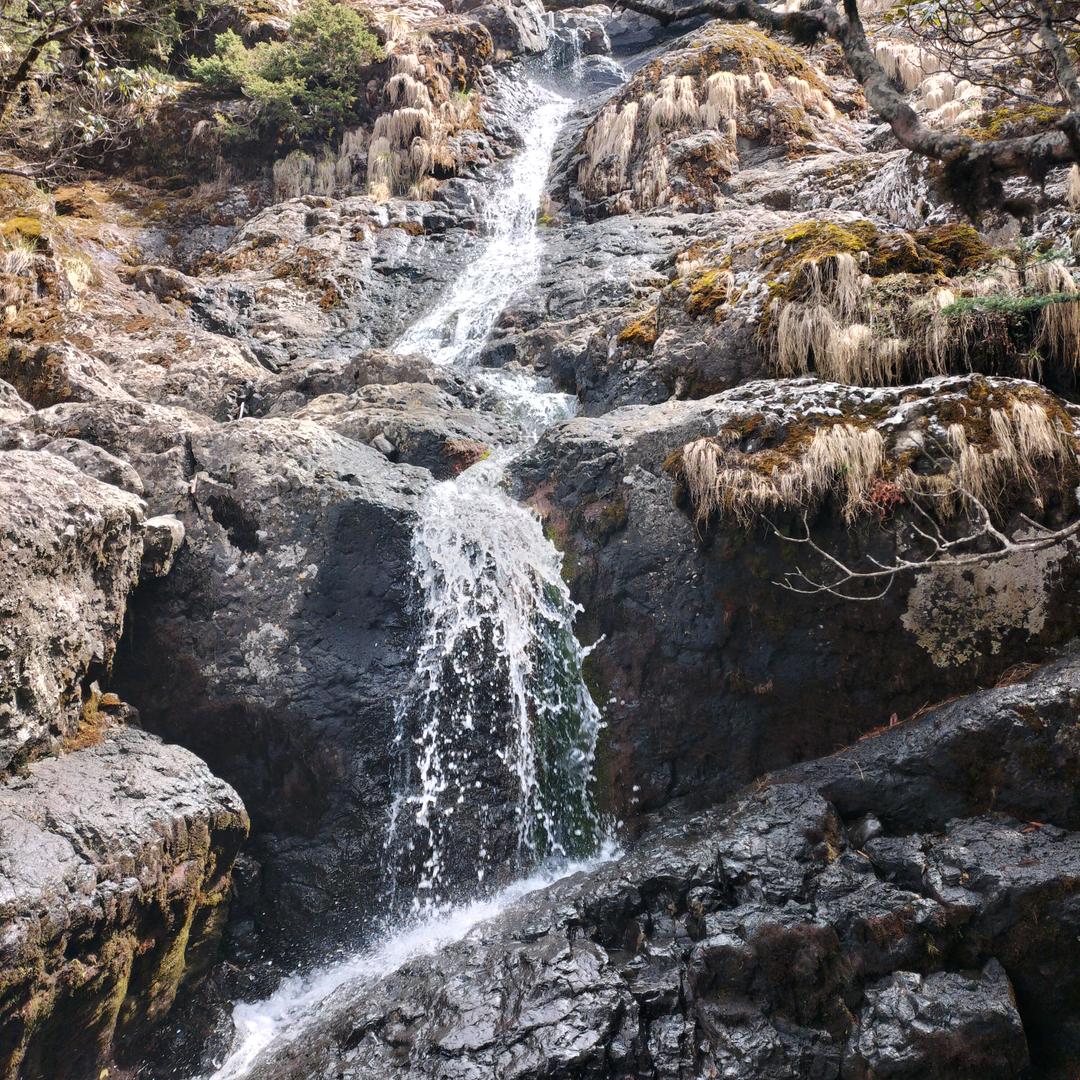 大哥帅不帅 你说了算