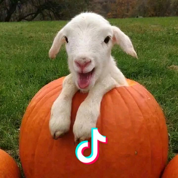 🌈日漾🌈🤞🏻