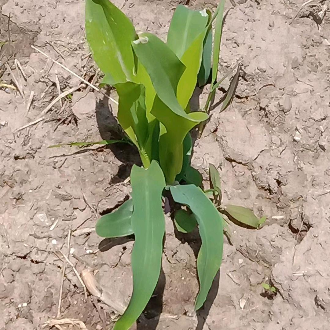 真是美，真是帅