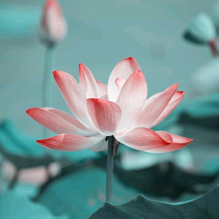 一生平安。