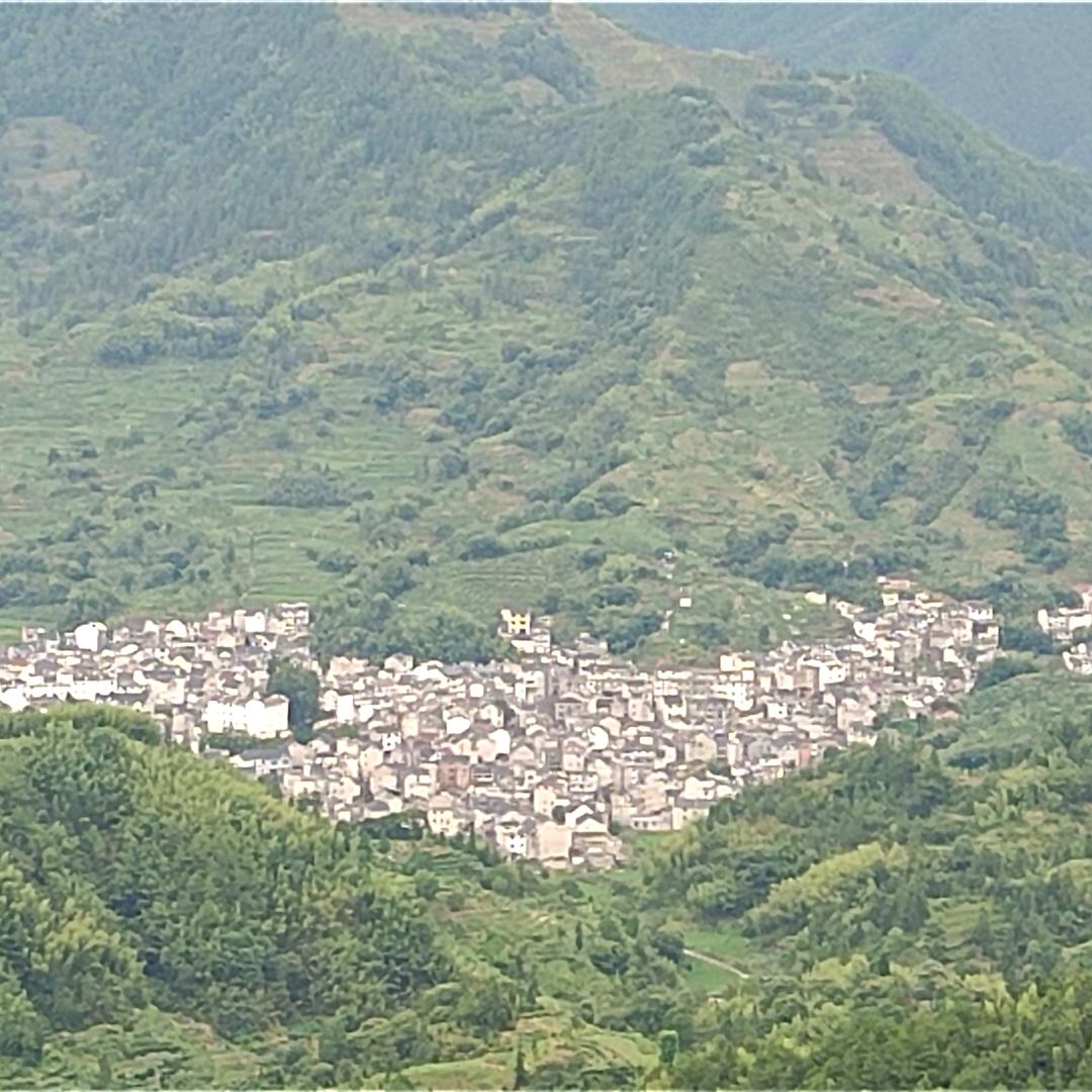 歙岭居士