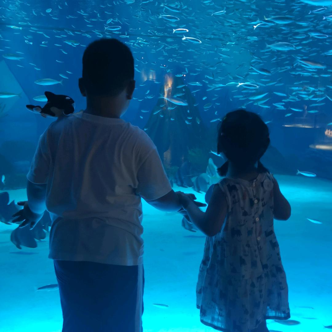 浓：涵：家爷爷王金根