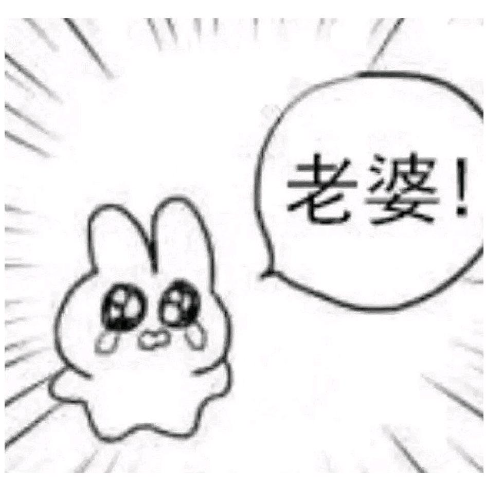 十级狗血爱好者