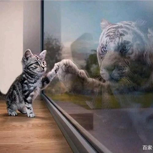 開訫㐇恏