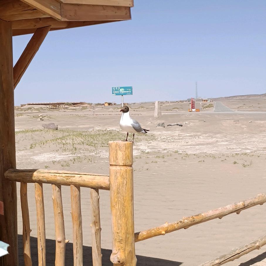 我的眼里只有你