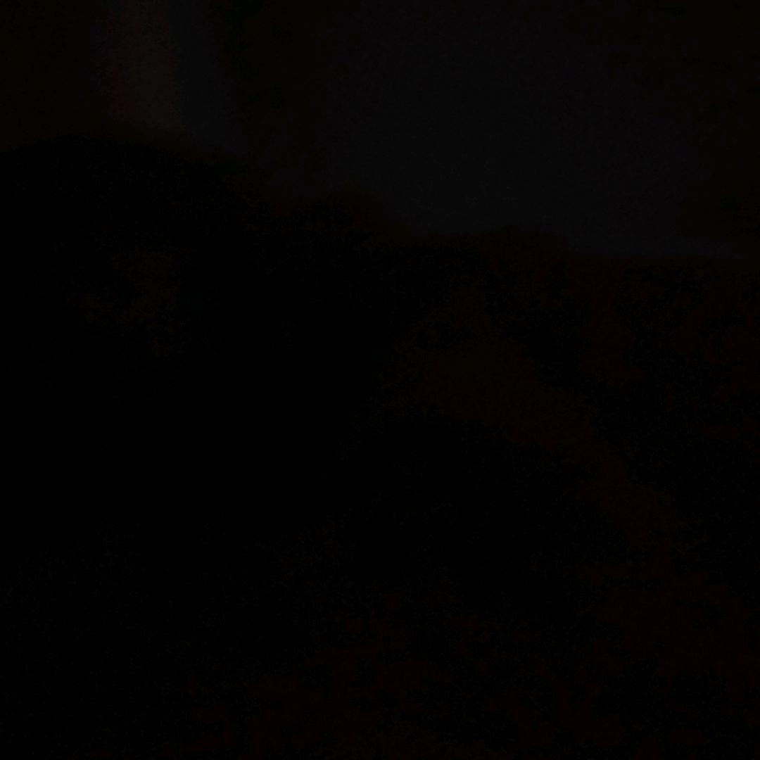 草莓棕