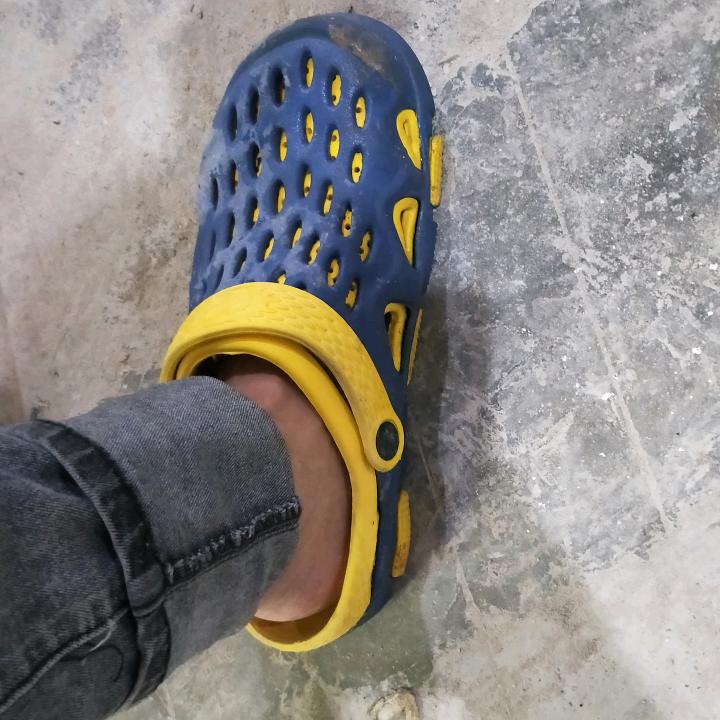 大猫不抓鱼