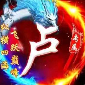 凤舞九天龙随行