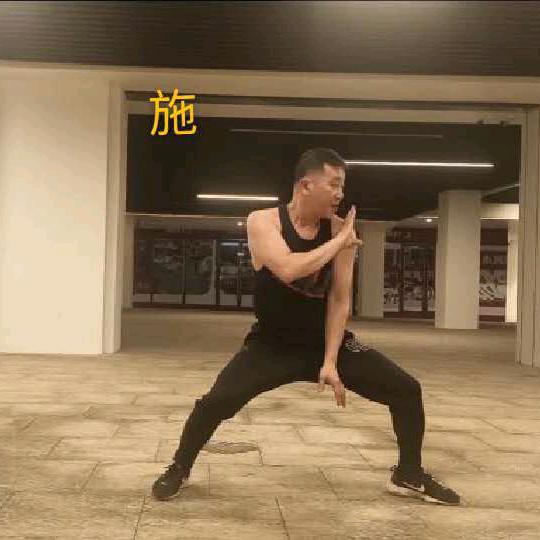 陆丰痴武 * 施祖略