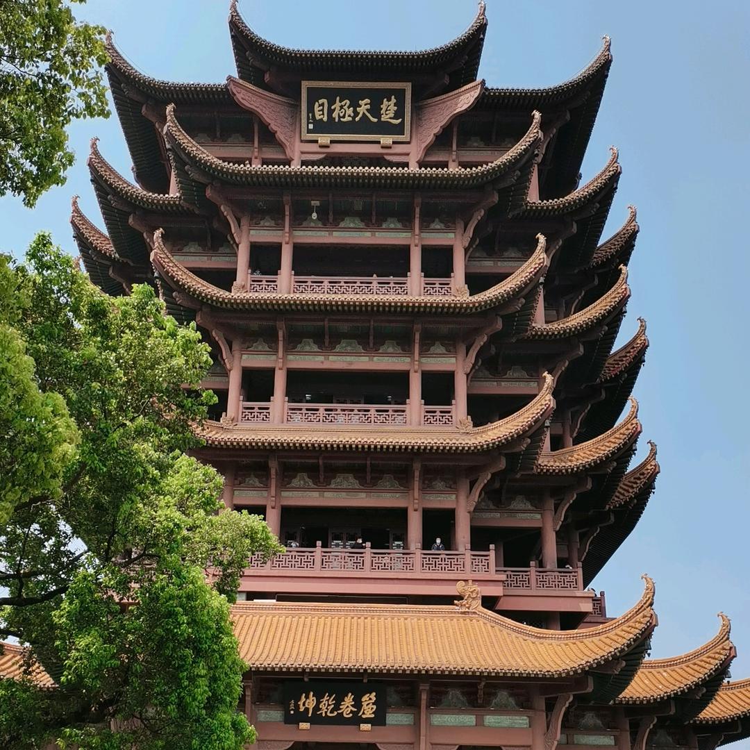 情归何处