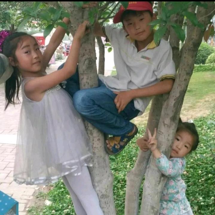 🍎往事清零～爱恨随意🍎