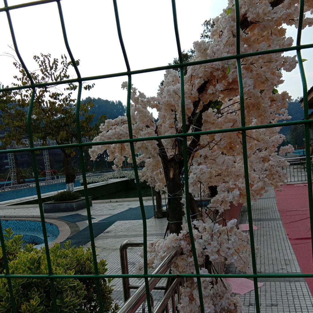 传芳