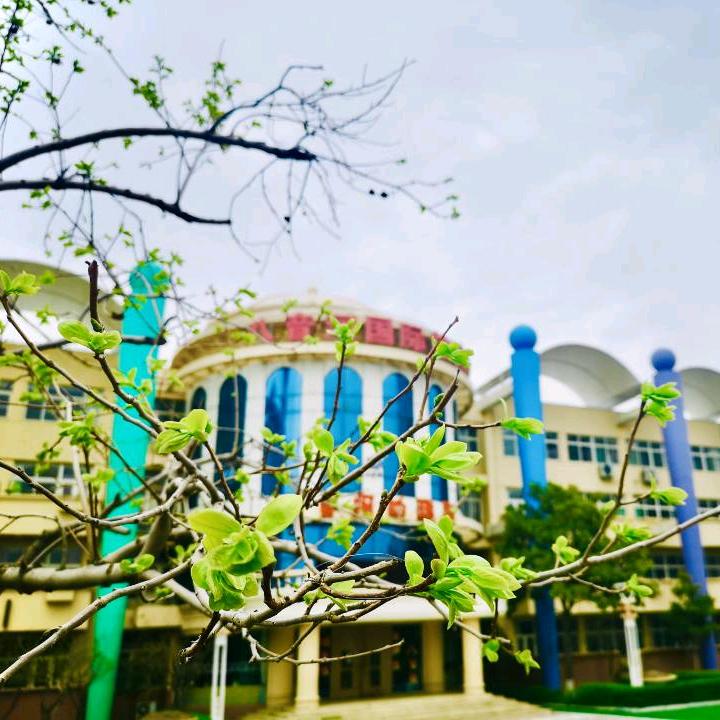 八音河幼稚园
