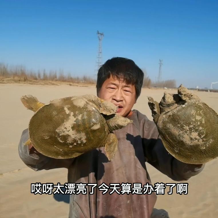 农村李小胖