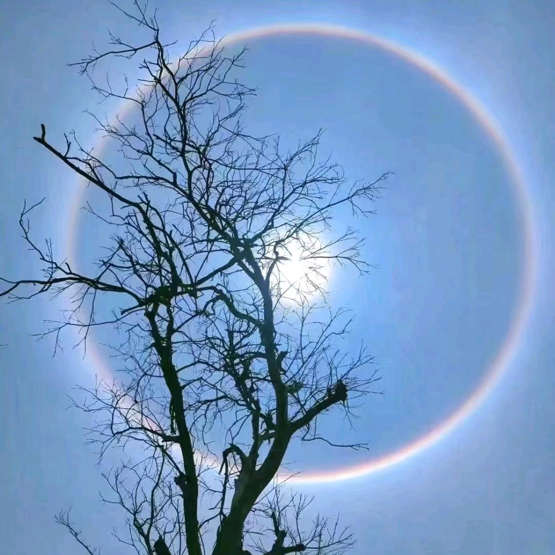 橙
