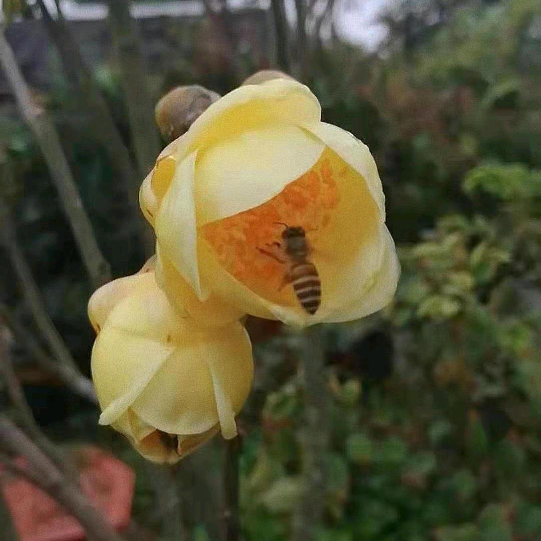 风的季节
