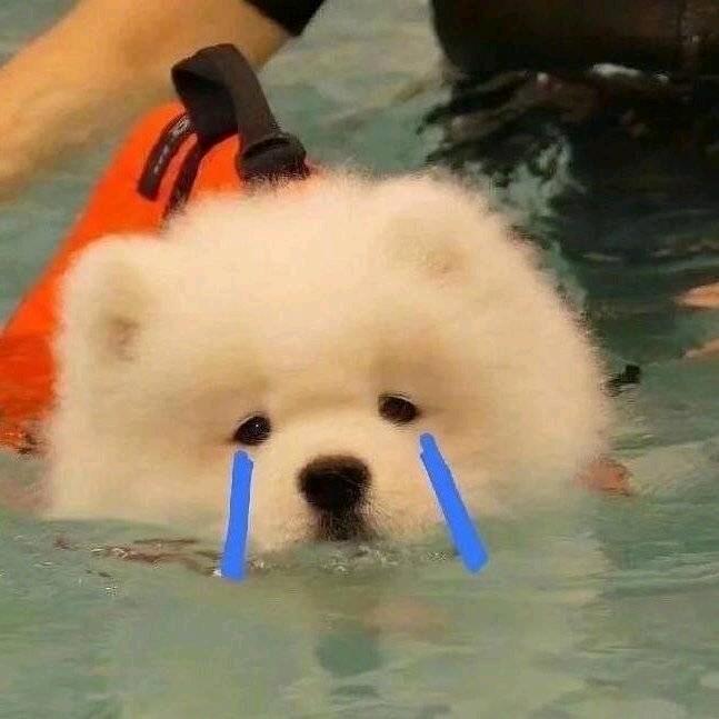 牛奶咖啡SAMA🍒